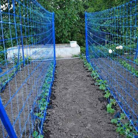 Garden Netting