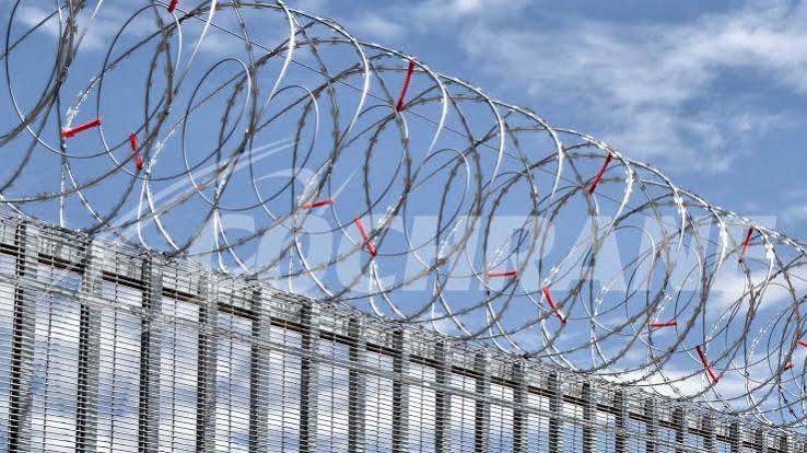 Concertina Wire