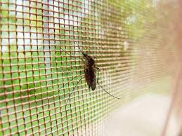 Mosquito and Insect Protection