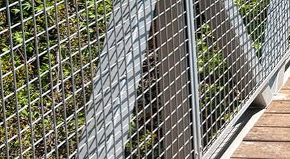 Welded Wire Mesh
